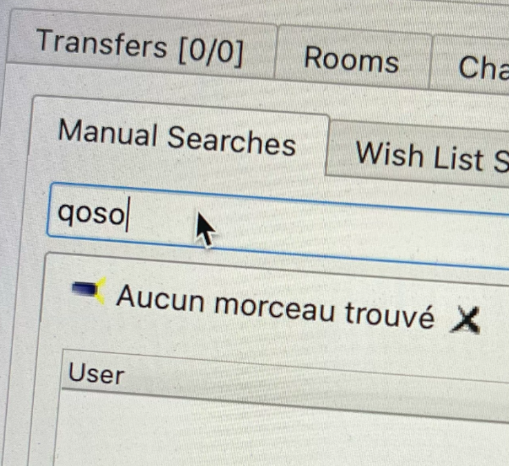 [Soirée live] NTRSX77, Méryll Ampe, Qoso